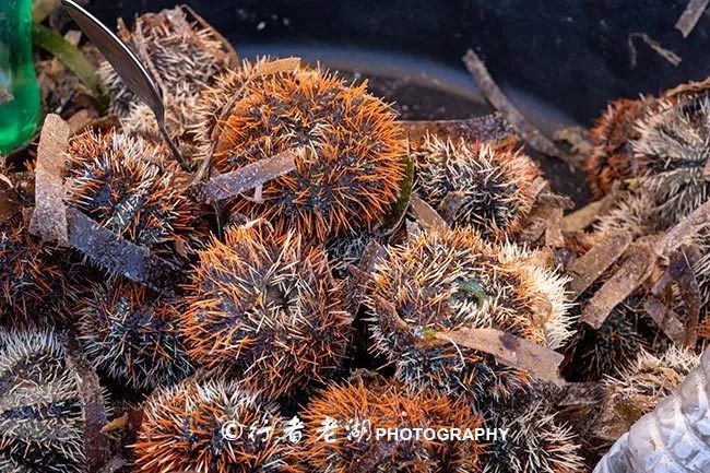 潜派旅行