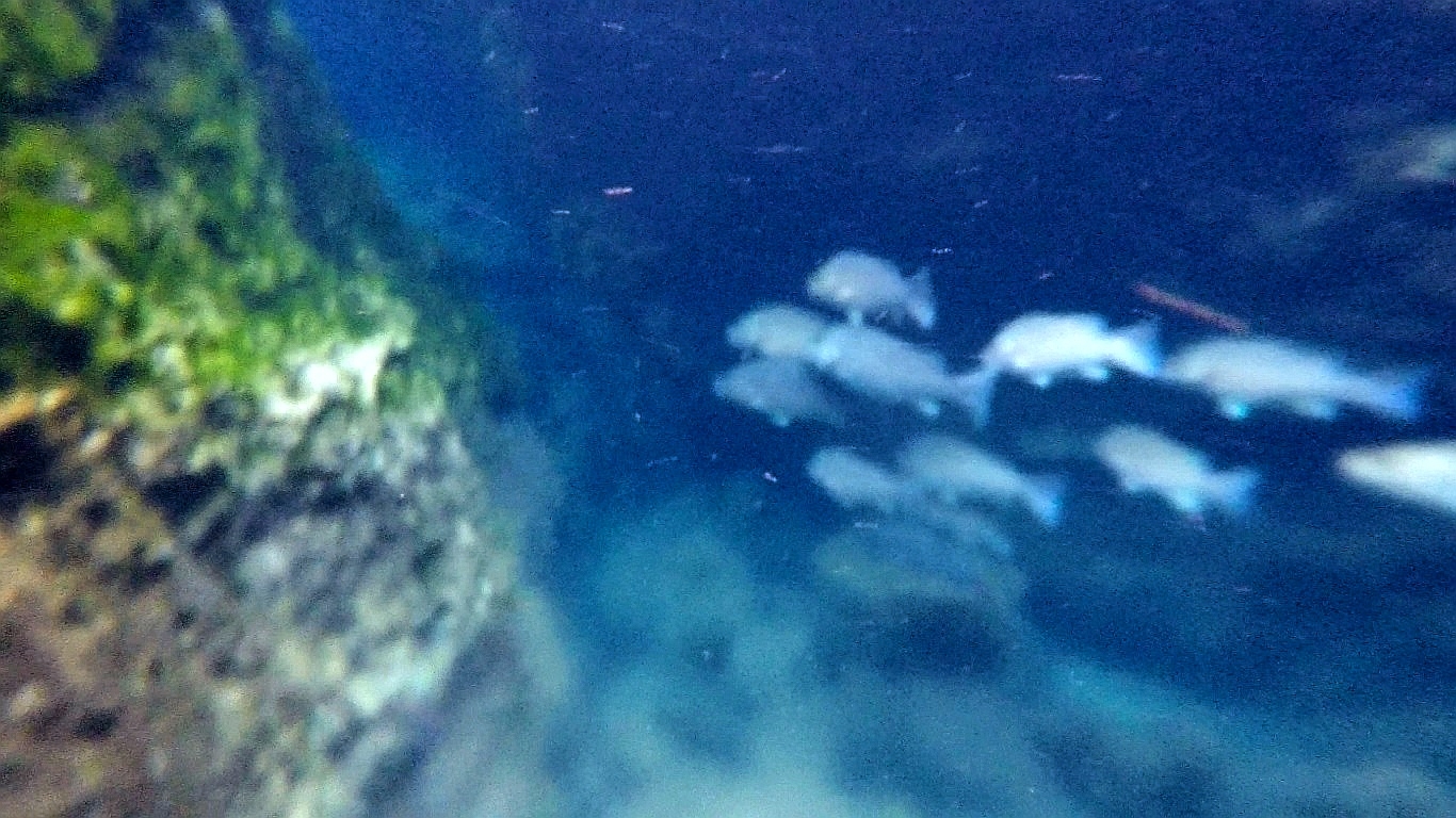 Xcaret乐园: 体验地下河漂流和浮潜_游记