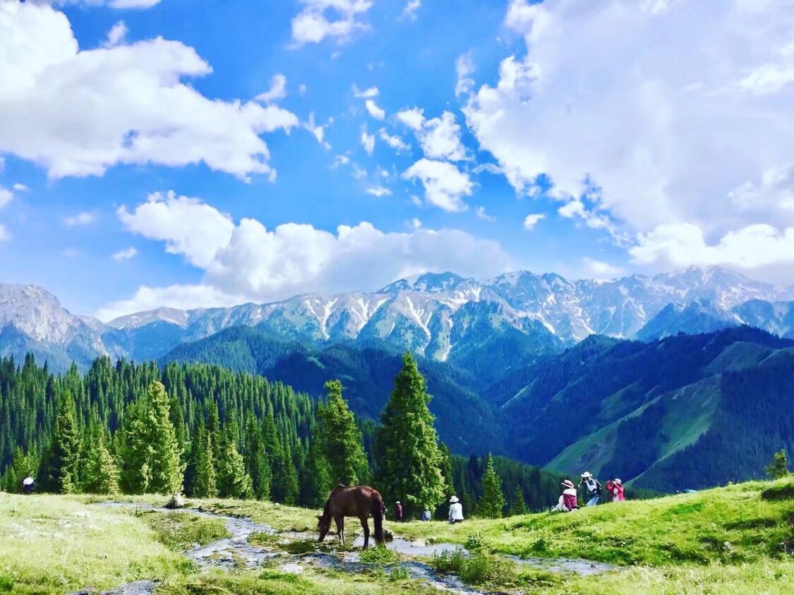 三生有幸遇天山~去新疆做一场不愿醒来的西域梦_游记