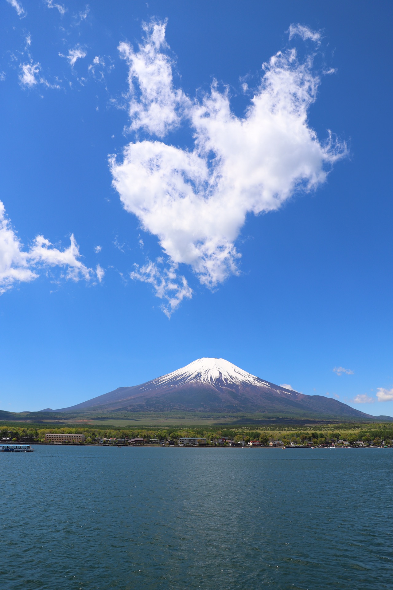 霓虹国】东京·富士山·京都·奈良·大阪七日