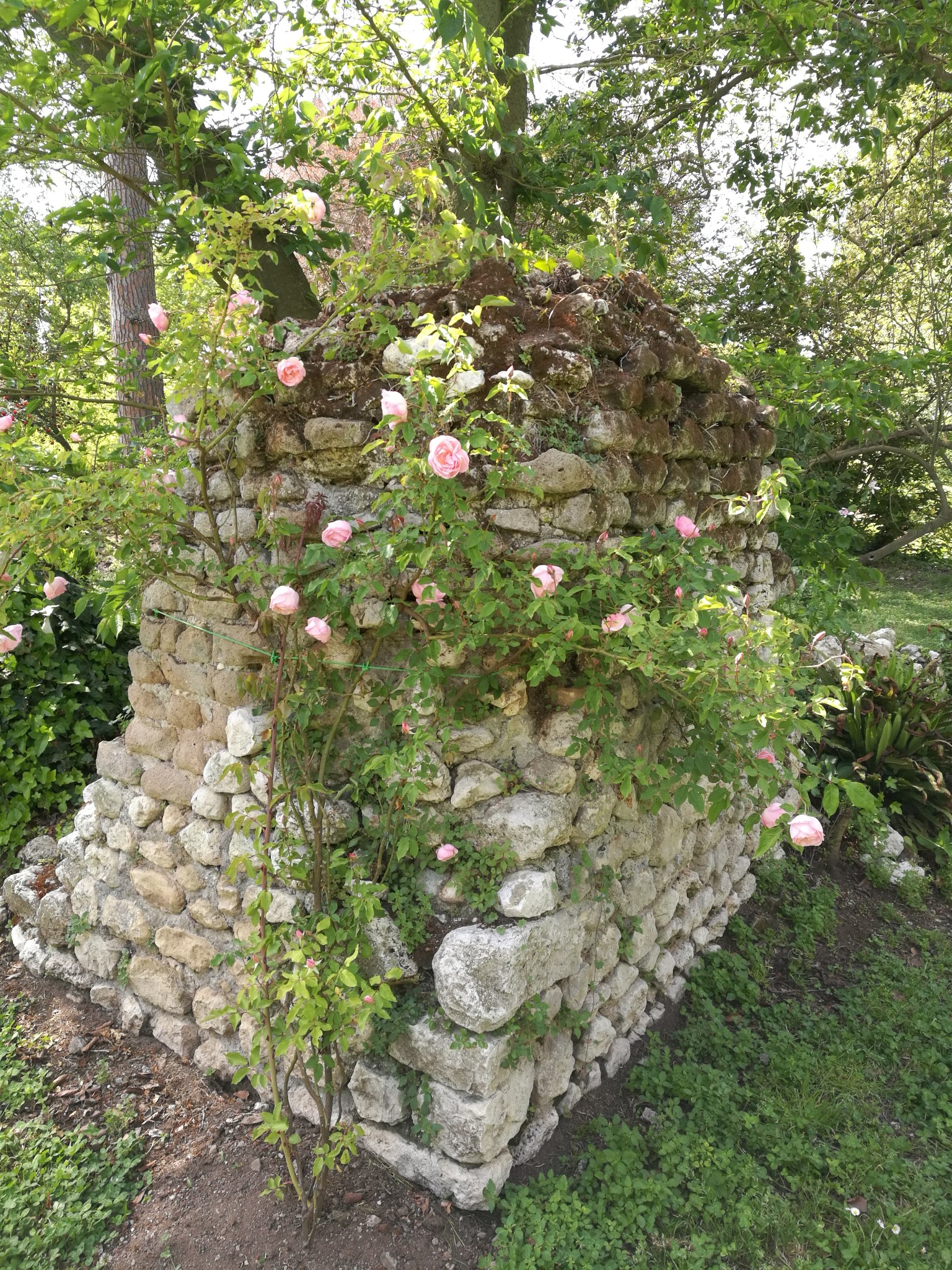 宁芙花园(ninfa garden)——随任在意大利