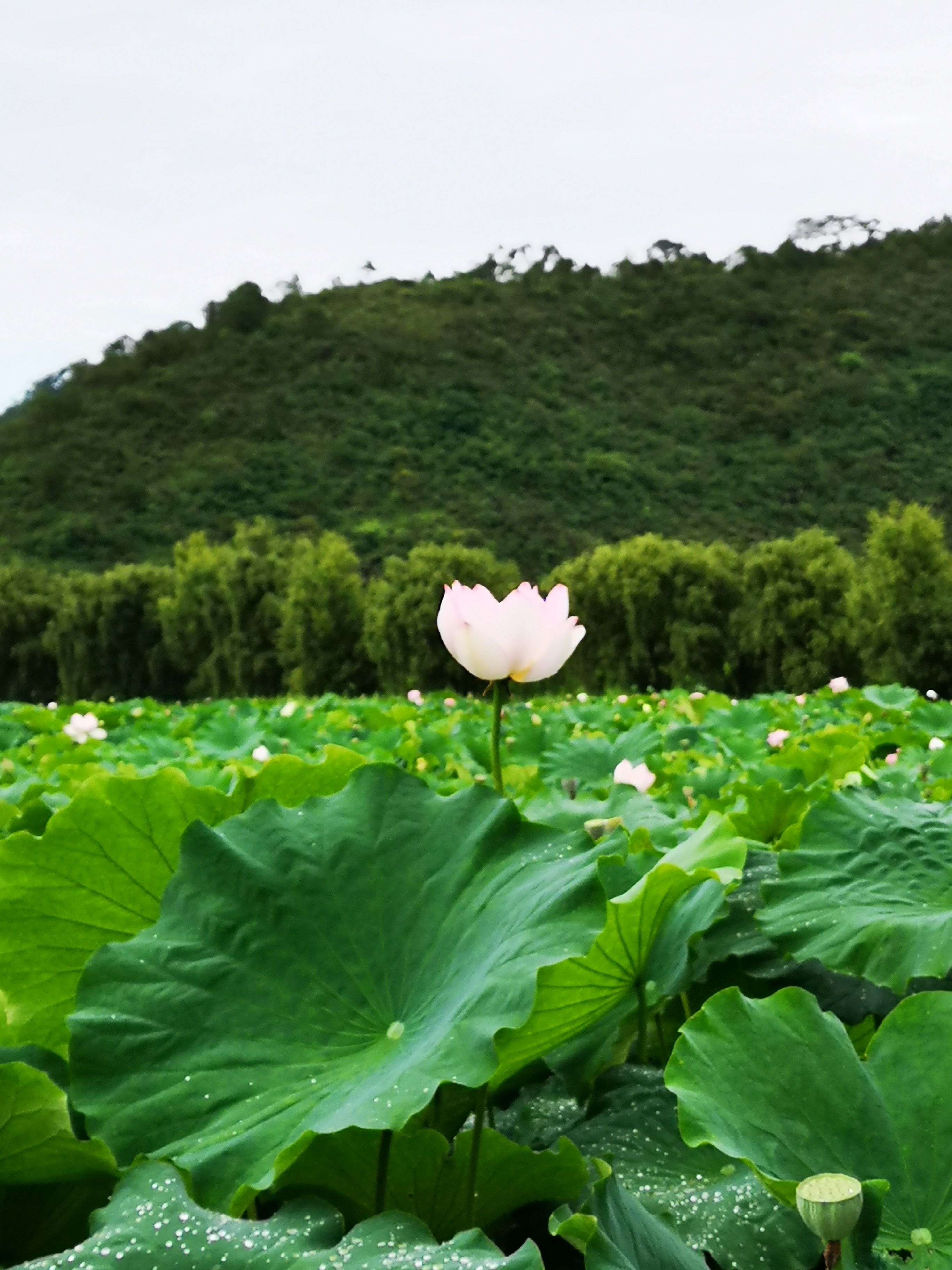 旅游从这开始