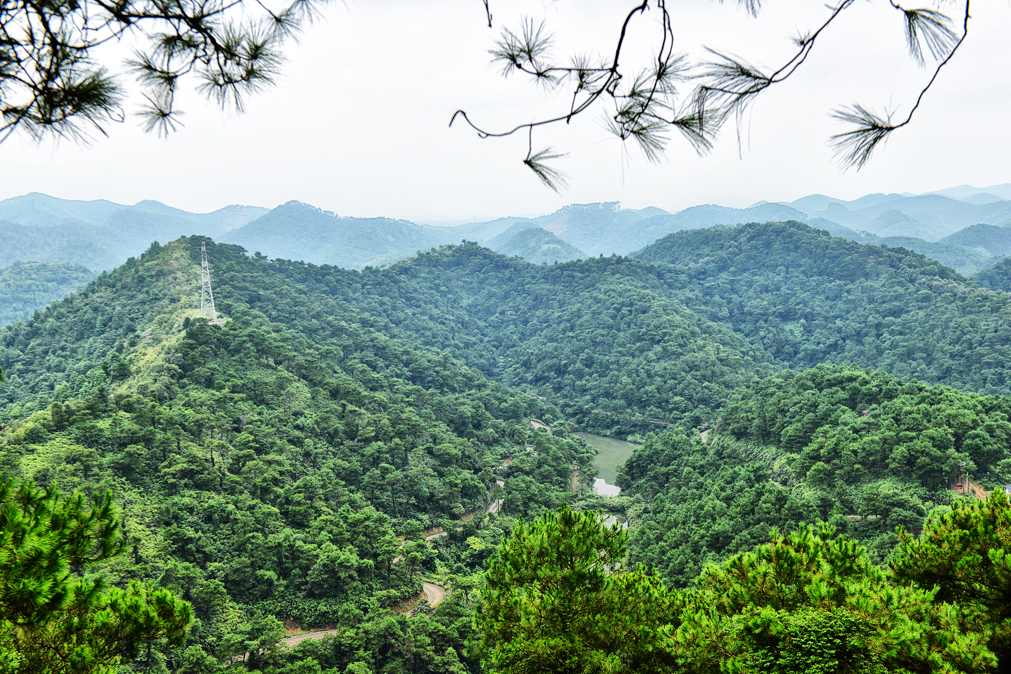 【高明区景点图片】泰康山生态旅游度假区