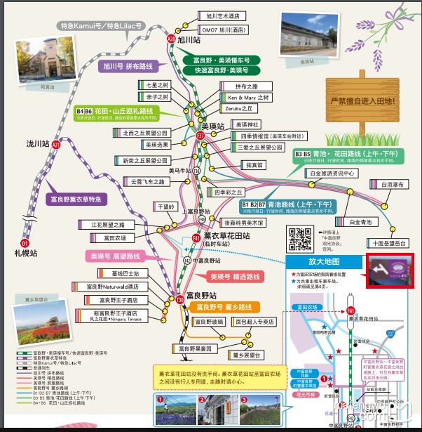 倾心向北悠然之道夏日北海道9天8晚亲子行内含富良野北极星民宿星野