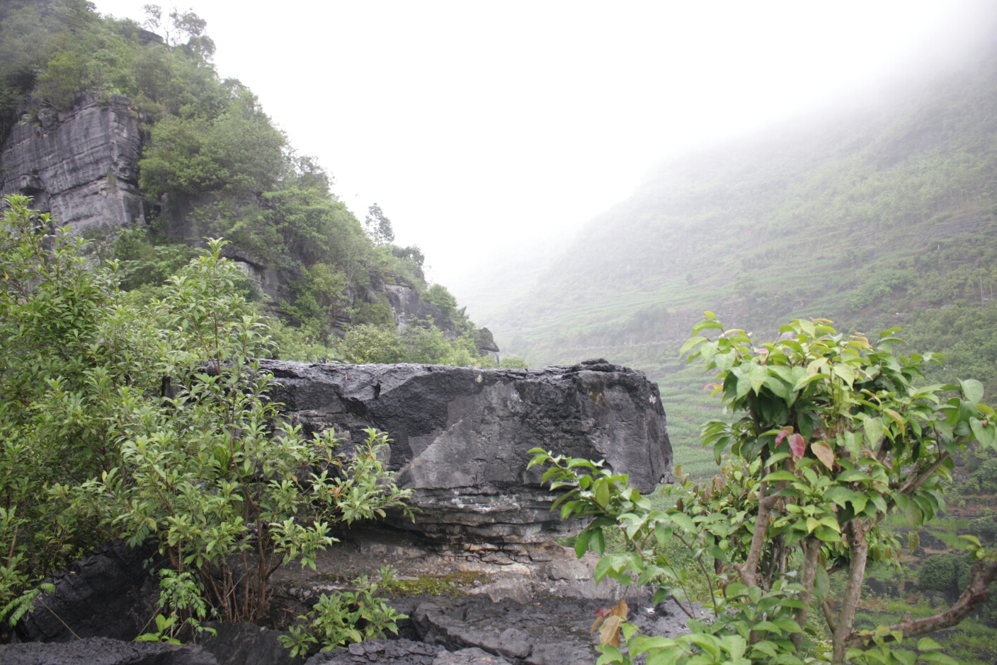 我在雨季来看你-布泉高峰天坑