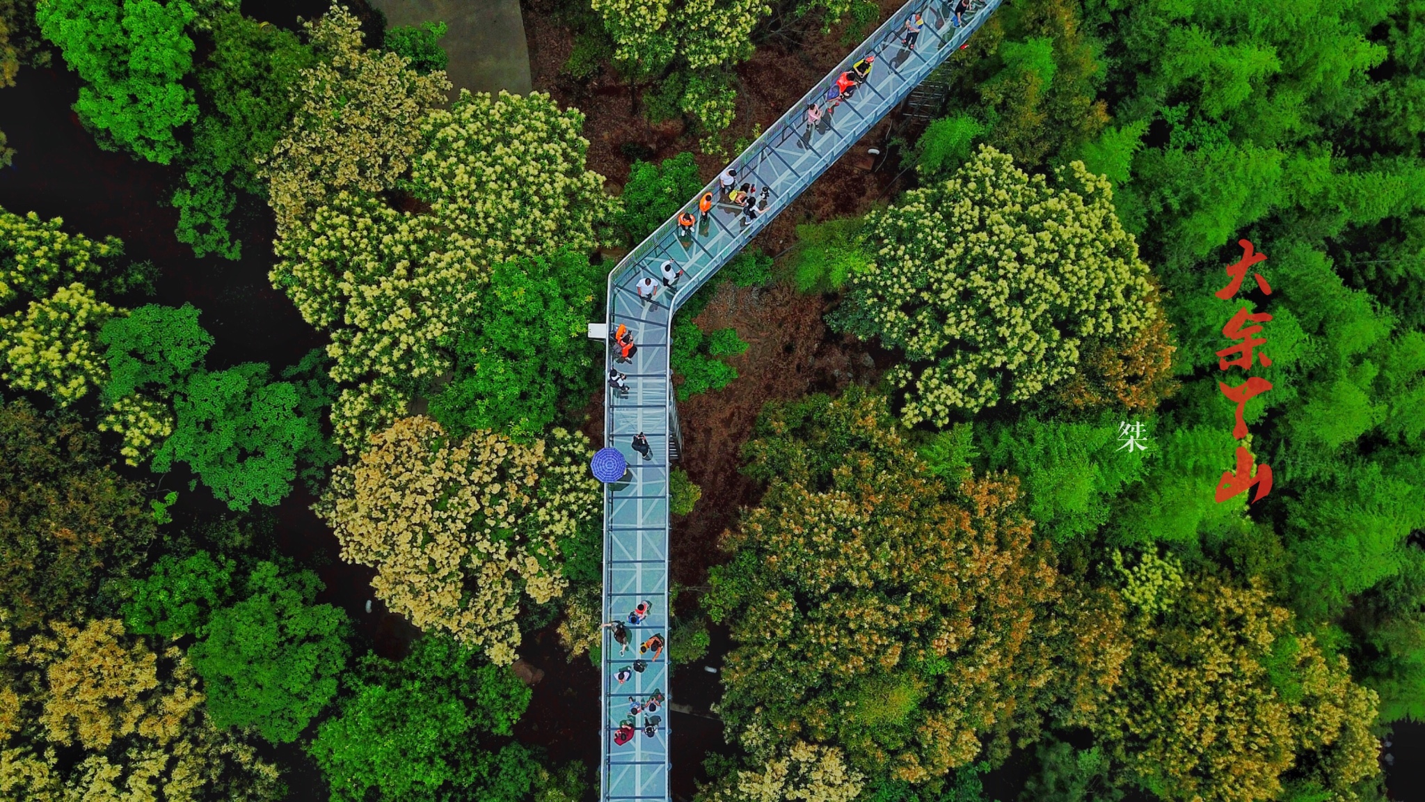 ·回归老家，亲近自然，乡约大余丫山（两天一夜自由行攻略）_游记