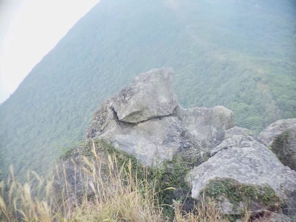 深圳大笔架山的面貌