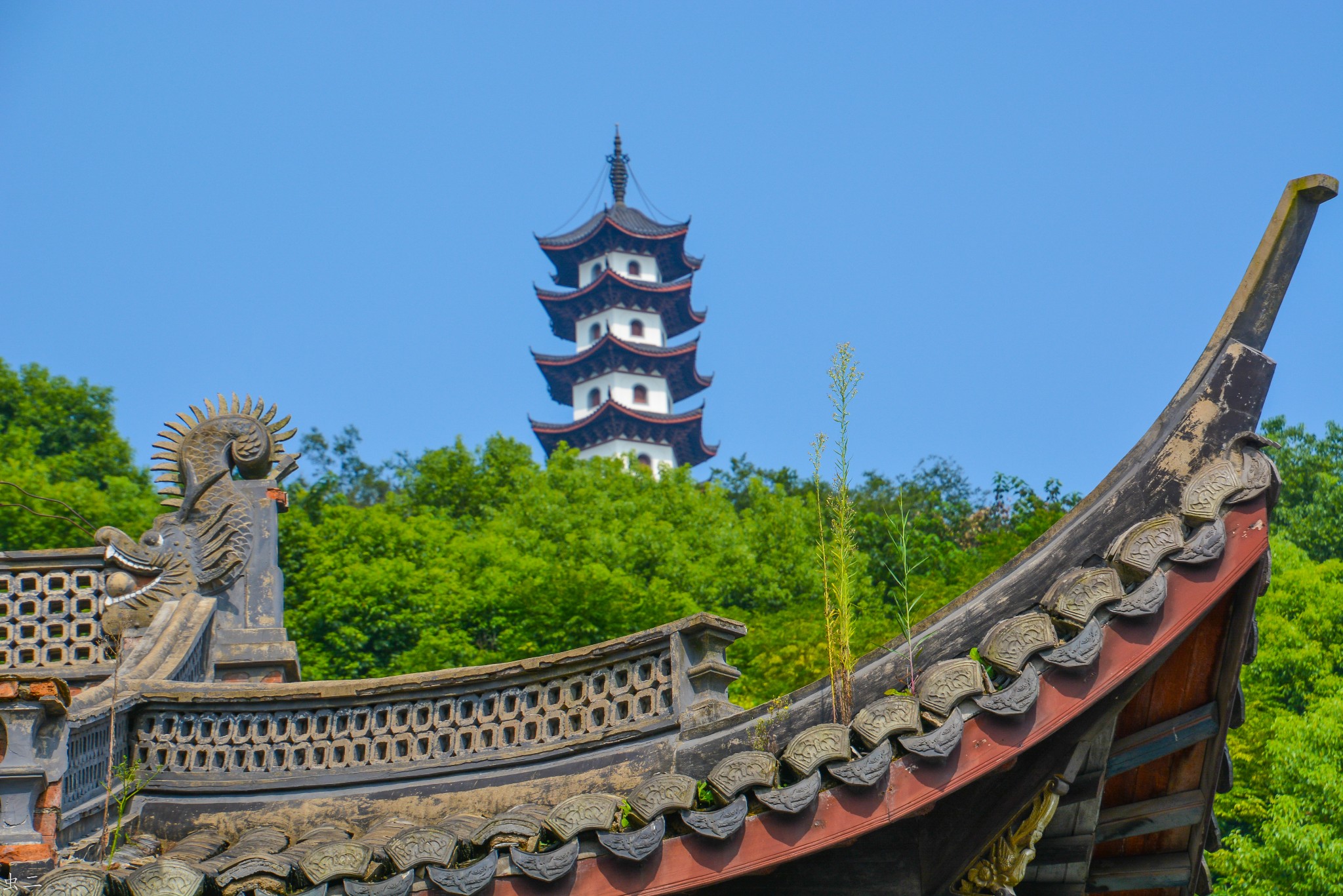 西施故里之范蠡祠-金鸡塔(古塔巡礼系列之八十二-2)_游记