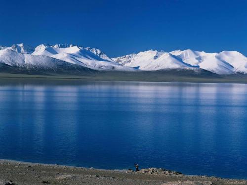 风马梵唱~青藏线109青海湖 茶卡盐湖 可可西里 藏北草原 林芝 鲁朗