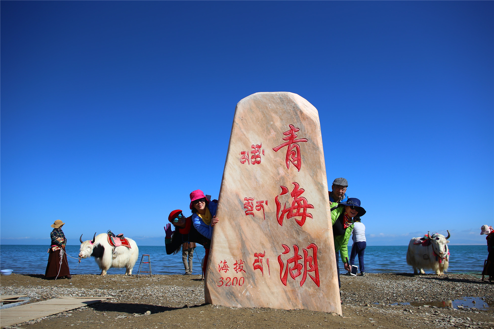 [一看秒懂]攻略:青海湖旅游怎样防挨宰,防套路,青海湖