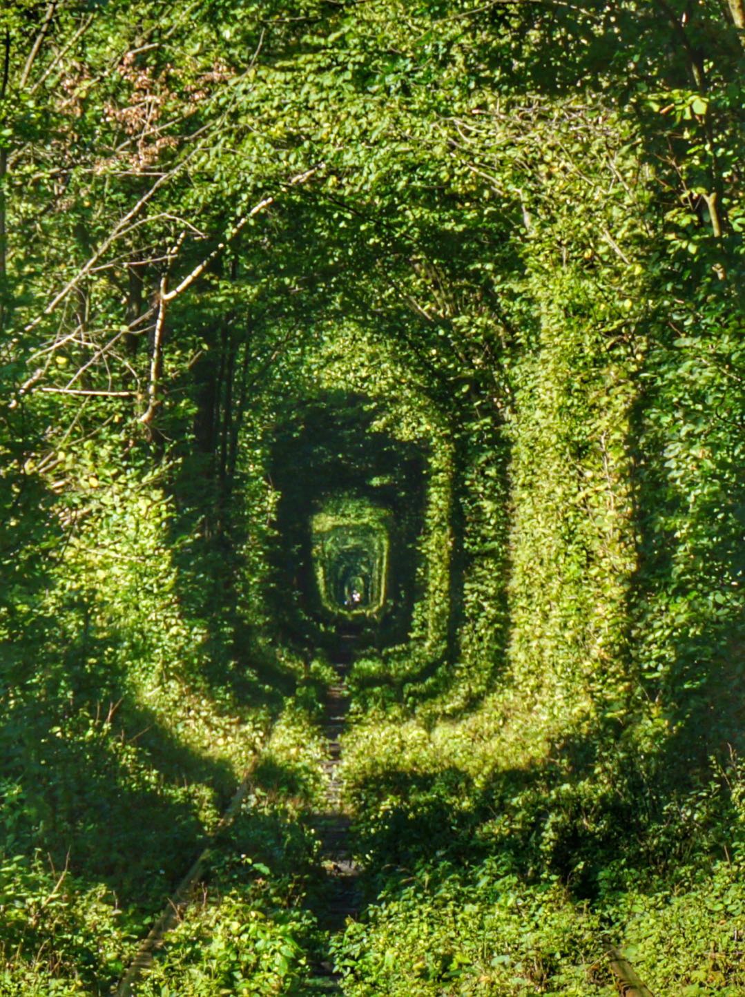 乌克兰爱情遂道Tunnel of Love Rivne Ukrain的惊艳_游记