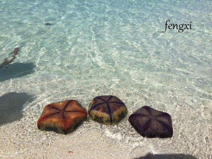 西沙群岛旅游什么时候去最好