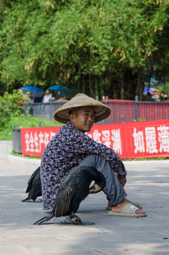 【德江图片】杨儿