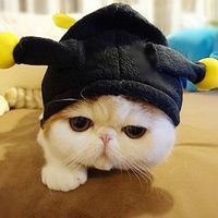 泪的方程式