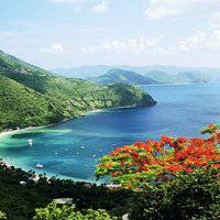 疏影横斜水清浅