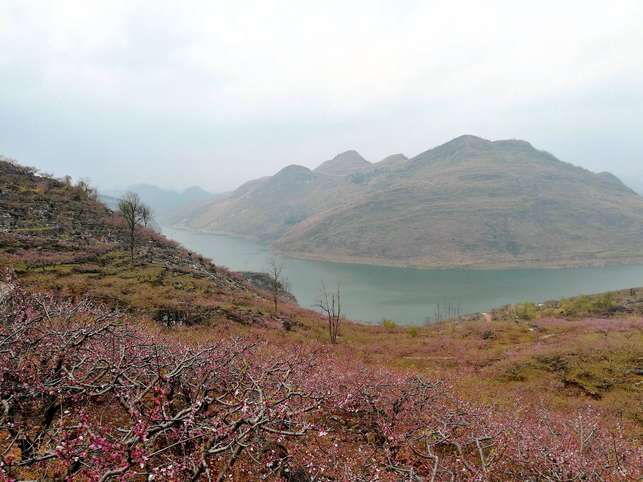 安顺普定桃花岛--一个美丽的地方