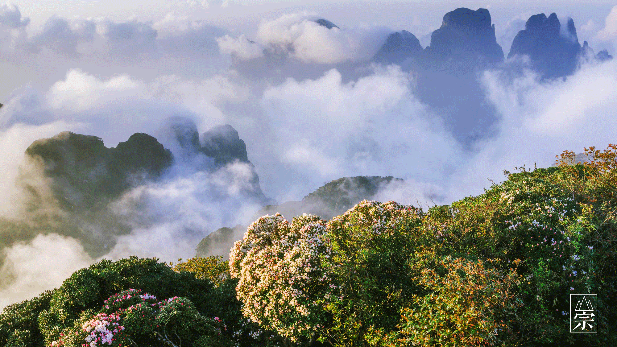 金秀圣堂山：云兴霞蔚的花海秘境