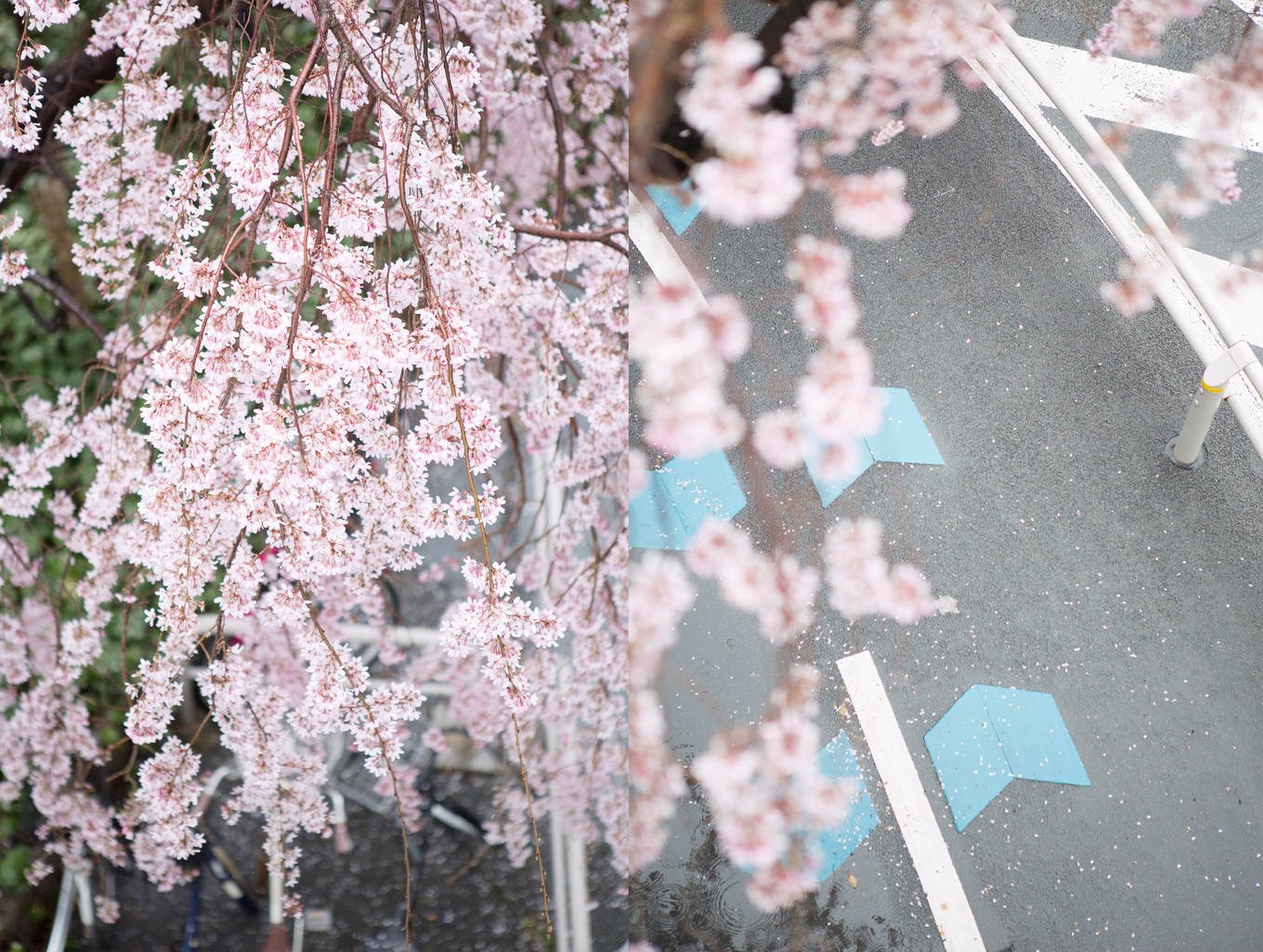 潜派旅行