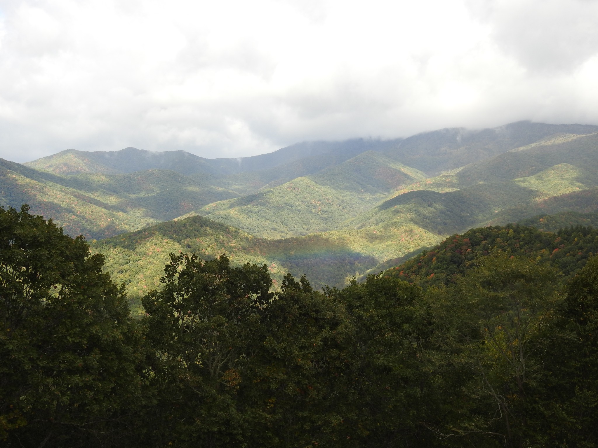 大雾山(Smoky Mountains)游记_游记