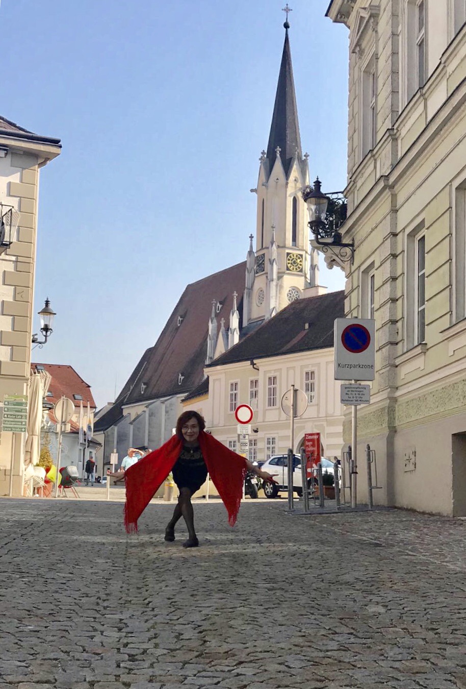 维也纳娱乐-Strandbad Gansehaufel