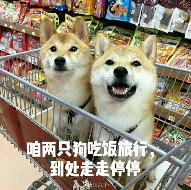 两只狗的旅行意见—日本旅游签证全利用(上)