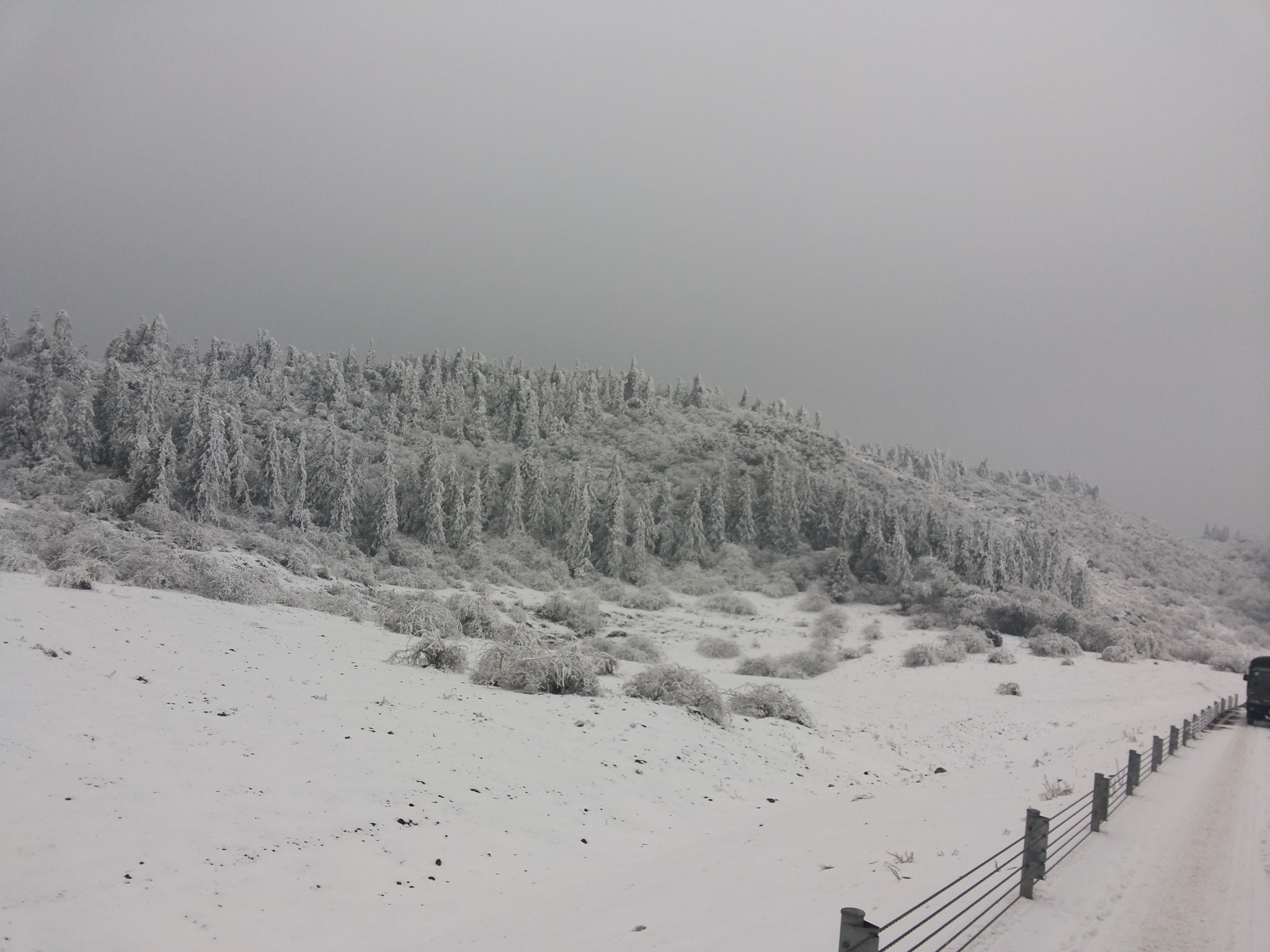 武隆仙女山雪景20140213