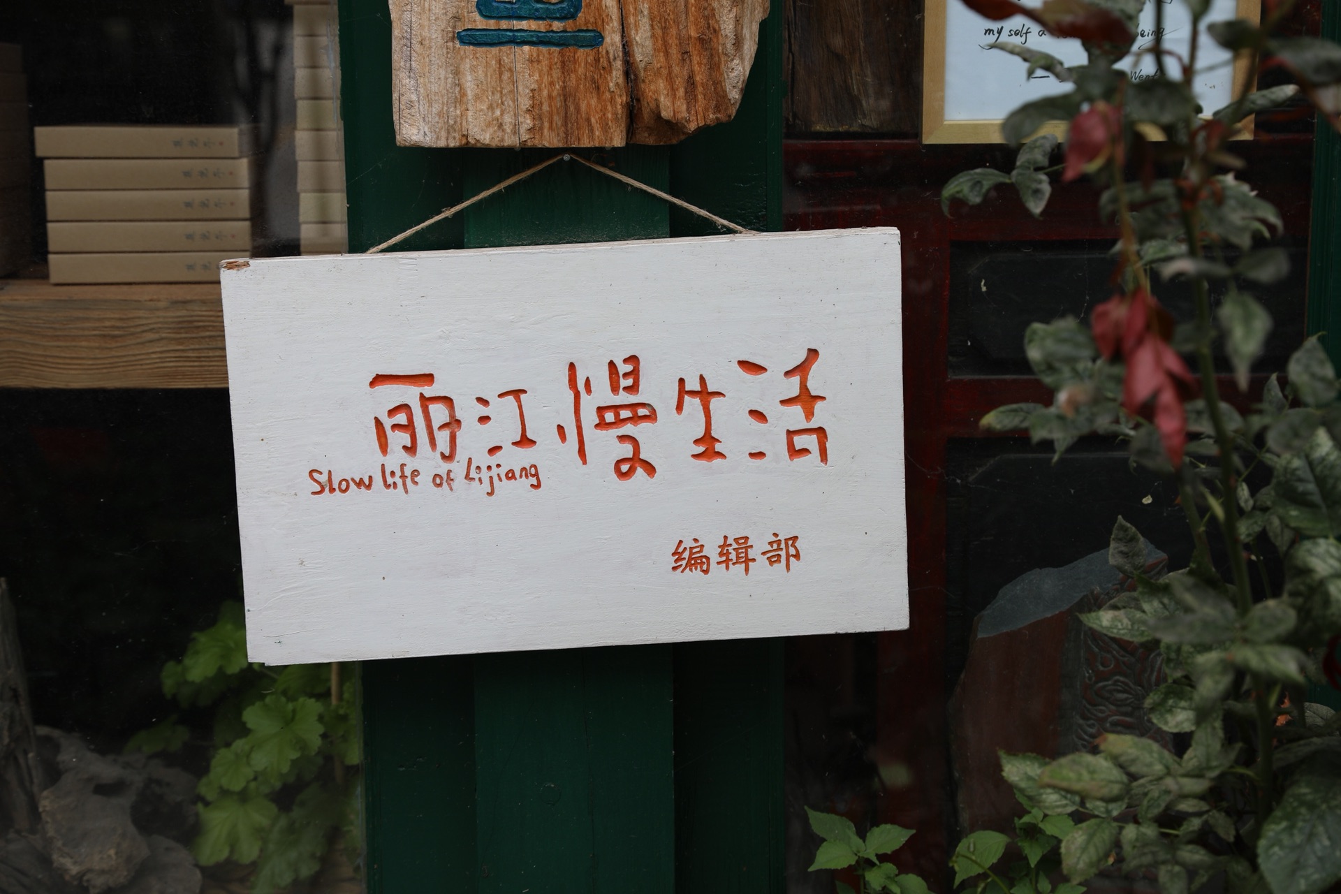 西双版纳有多少人口_西双版纳的植物有哪些(2)