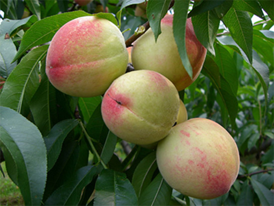 wKgBEFqXtiKAWRFBAAFk4C75KVA87.jpeg?imageView2%2F2%2Fw%2F600%2Fh%2F600%2Fq%2F90