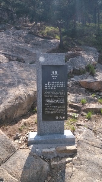 想去爬泰山,请经历丰富的指教一下,想从红门上,终点玉皇顶,路线是什么?必须得乘坐缆车上顶吗?