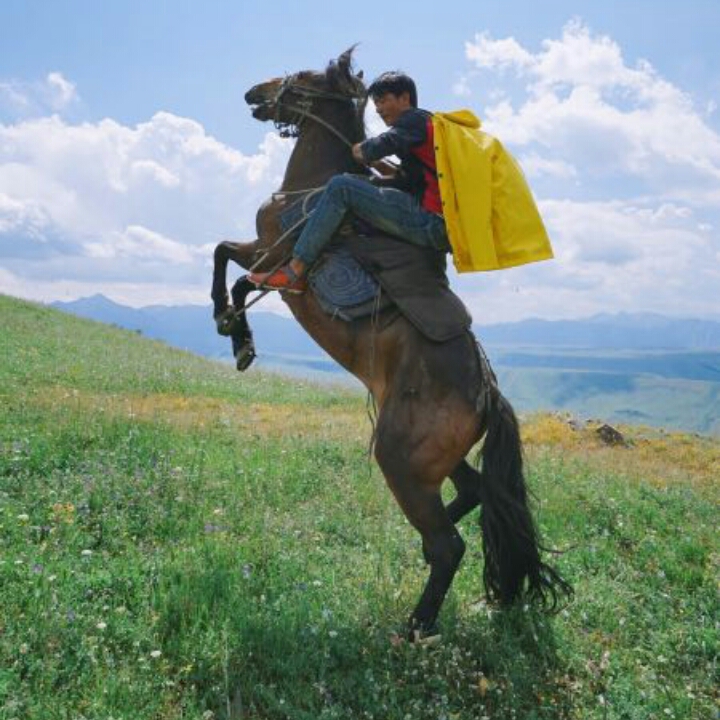 户外  向导  岛剋