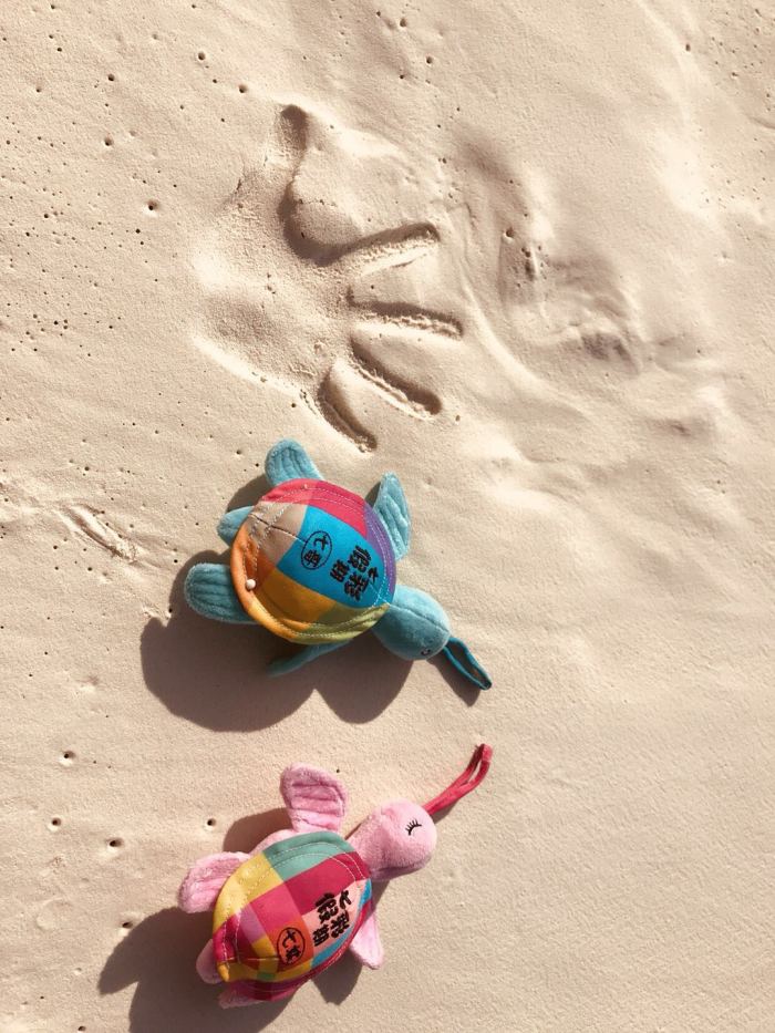 什么时候去马尔代夫比较好