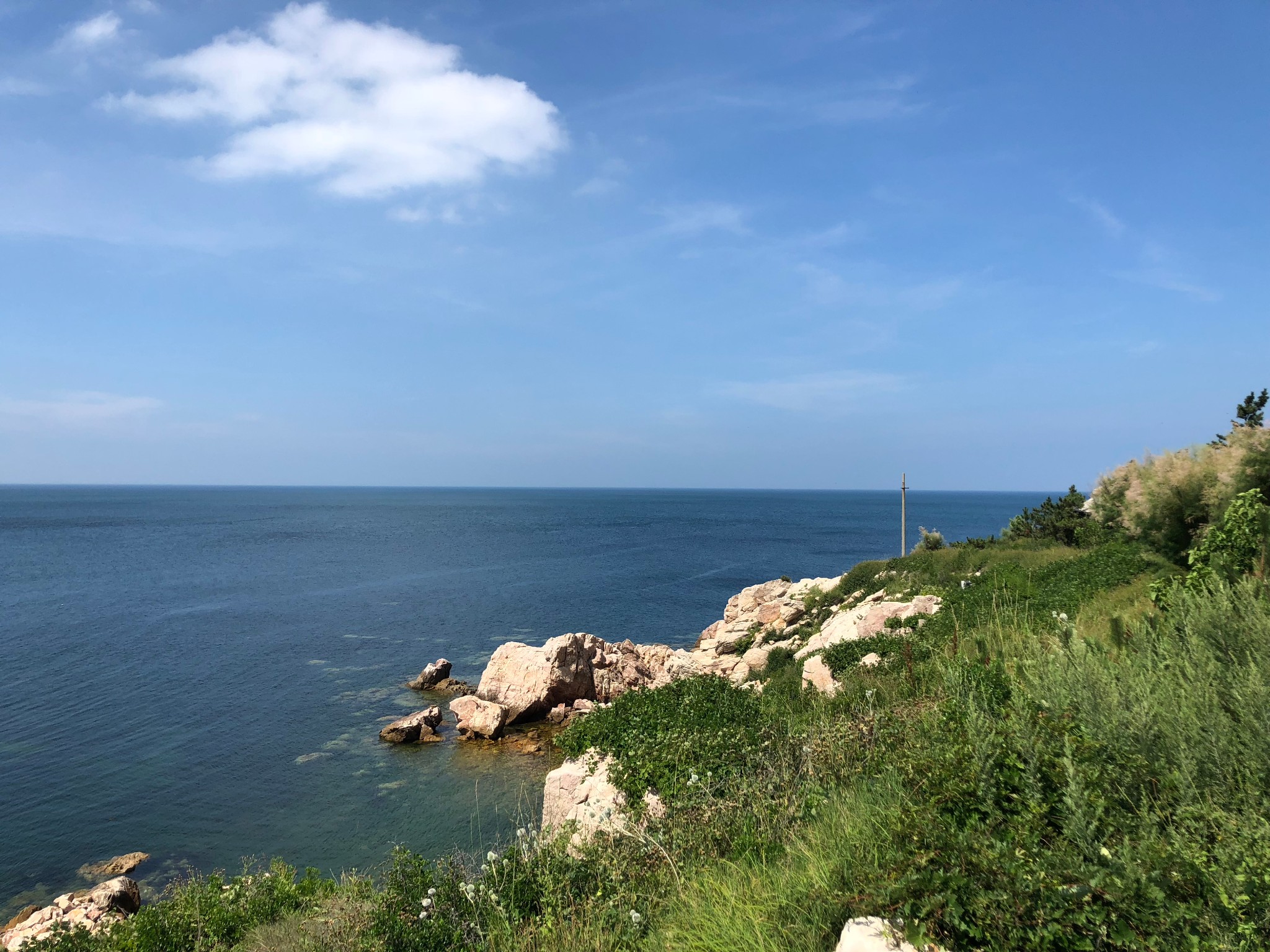 暑假遛娃山东沿海游