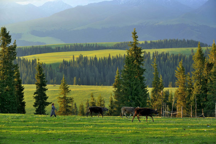 几月份去喀拉峻草原最合适?本人有点怕冷。