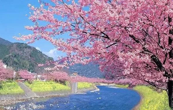 潜派旅行