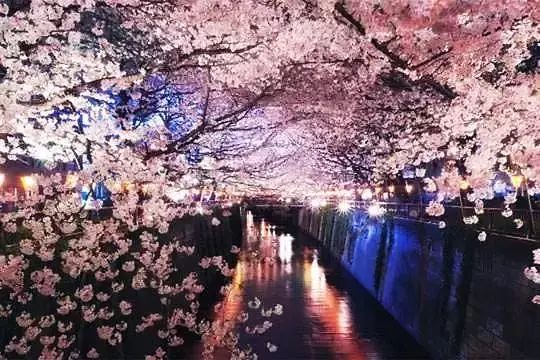 潜派旅行