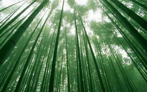 潜派旅行