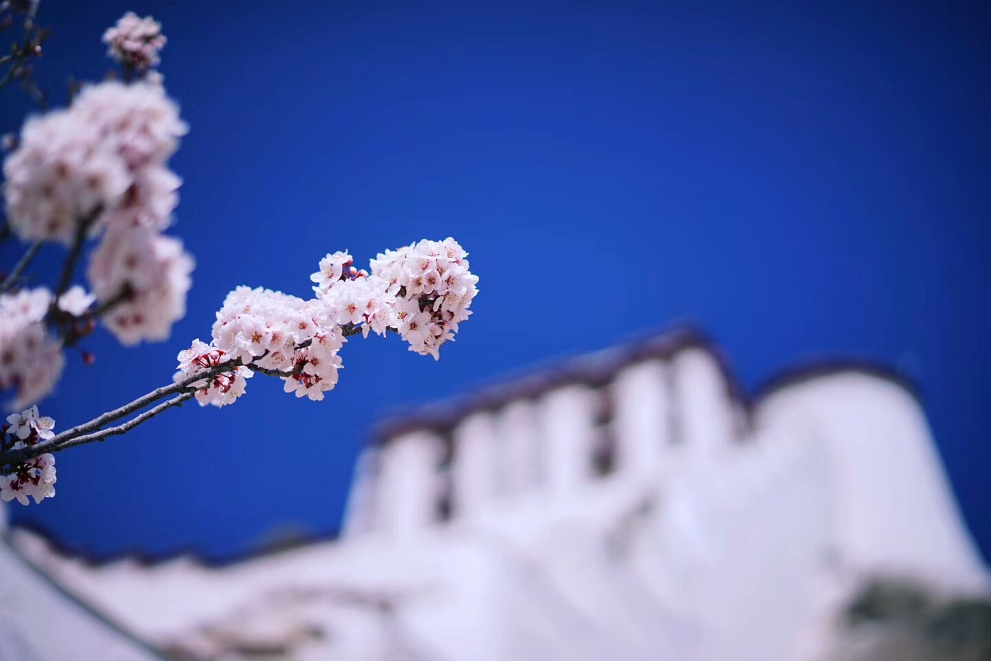 wKgBEFr4TOiAF4tPAAddawLXxhk30.jpeg?imageView2%2F2%2Fw%2F600%2Fh%2F600%2Fq%2F90