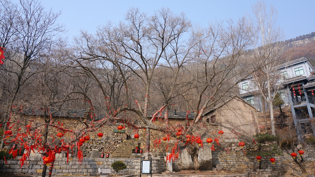 两天两座山，两场马战（2018初春游沂水天上王...