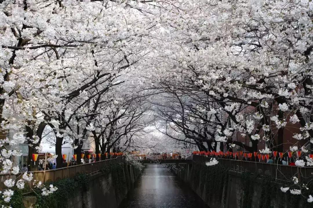 潜派旅行
