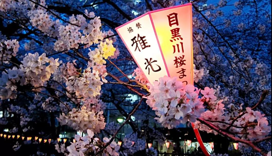 潜派旅行