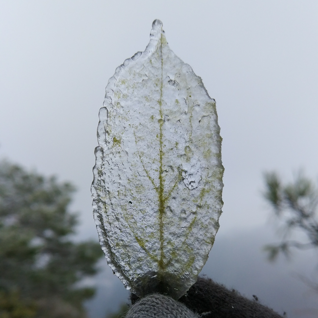 【龙里图片】到此一游