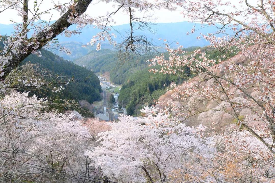 潜派旅行