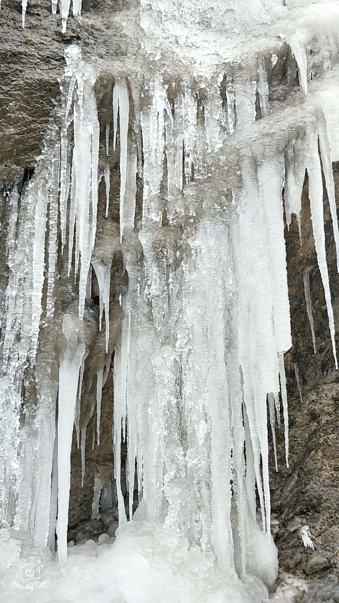 冰蚀崖上悬挂着无数块大小不等,形状各异,洁白晶莹的冰柱