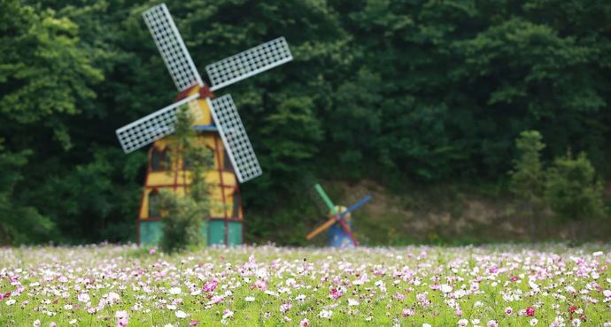 陕西宁陕陕西a攻略山高山攻略湿地景区,秦岭秦自贡市v攻略攻略图片