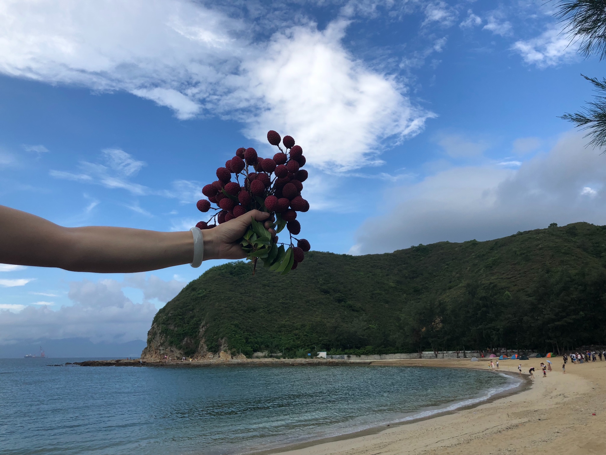 喜洲岛两日游,惠州旅游攻略 - 马蜂窝