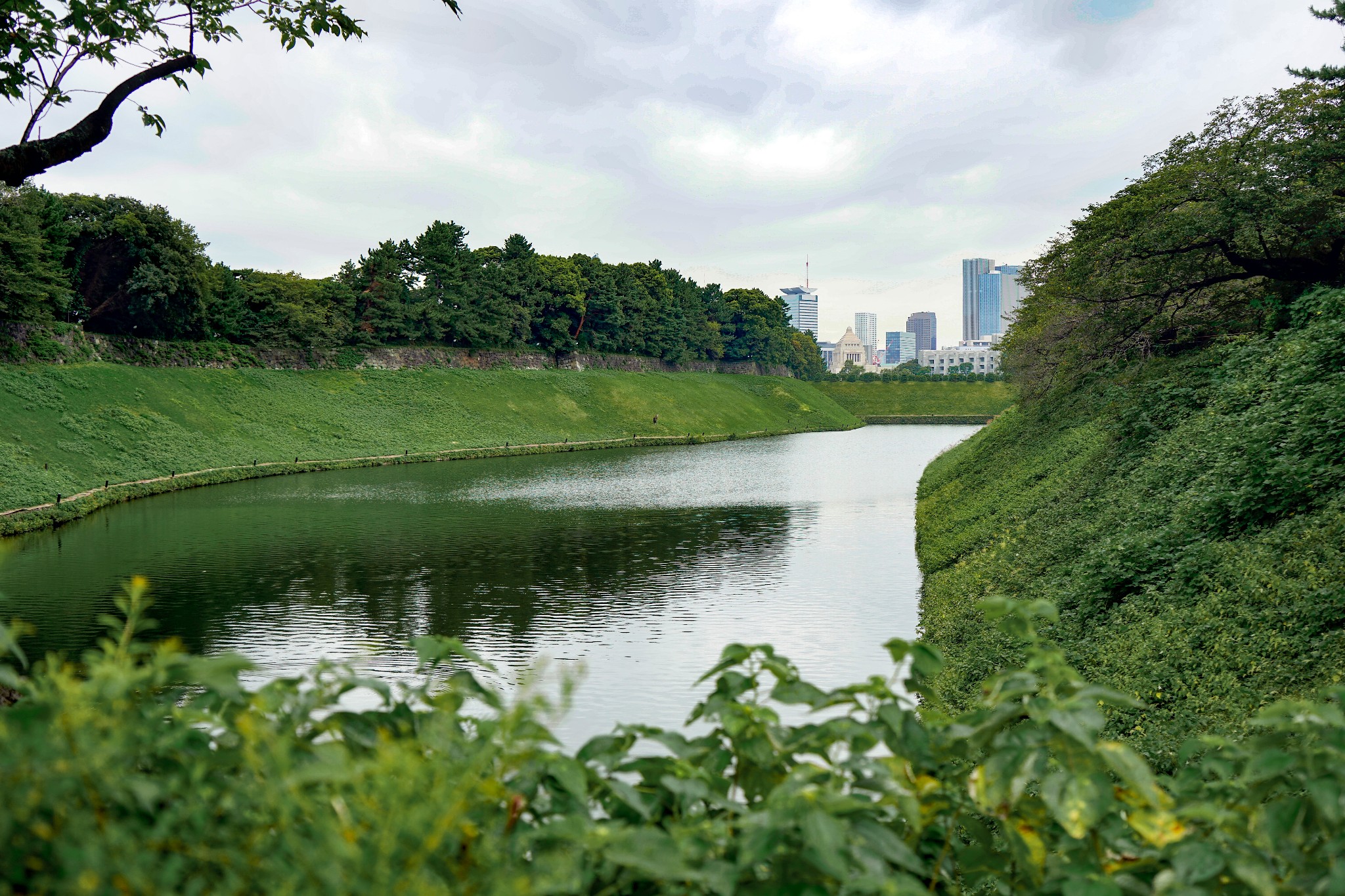 东京千鸟渊公园攻略 千鸟渊公园门票 地址 千鸟渊公园游览攻略 马蜂窝