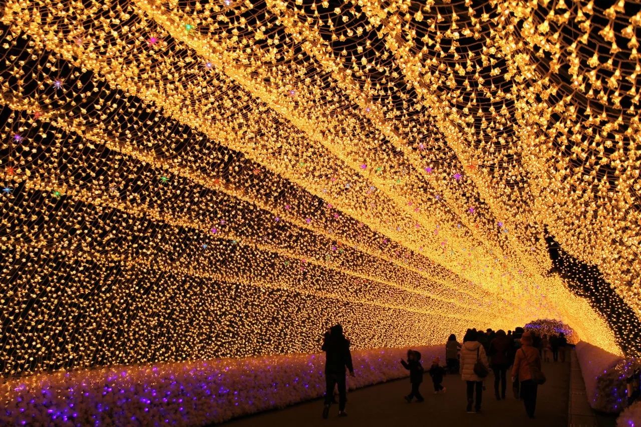 潜派旅行