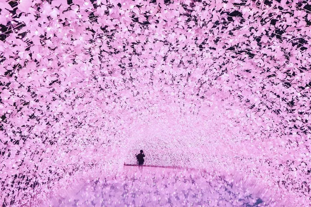 潜派旅行
