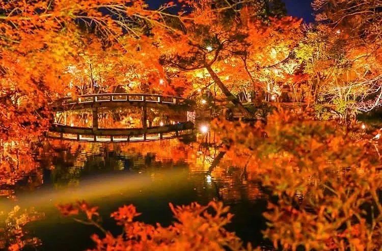 潜派旅行