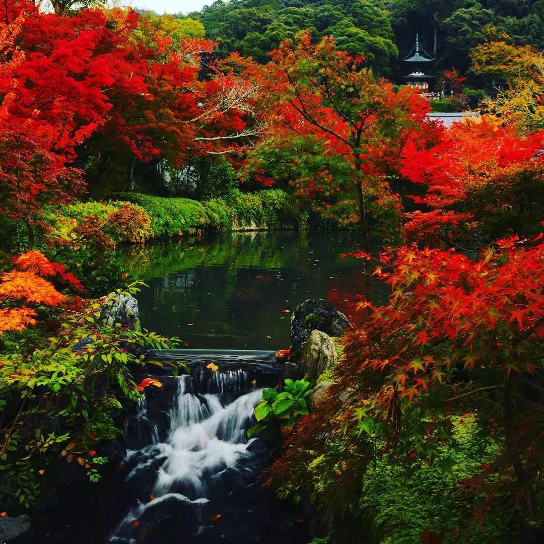 潜派旅行